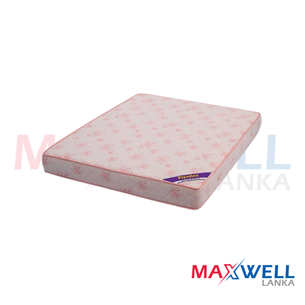 PIYESTRA Spring Mattress 10"